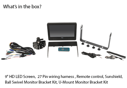 What's in the Box
